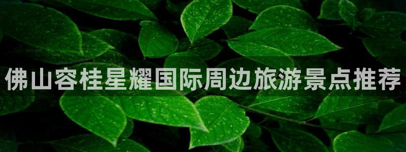 长运平台电玩网官网入口