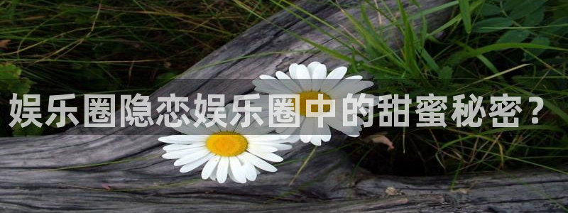 壹号电子娱乐app下载最新版