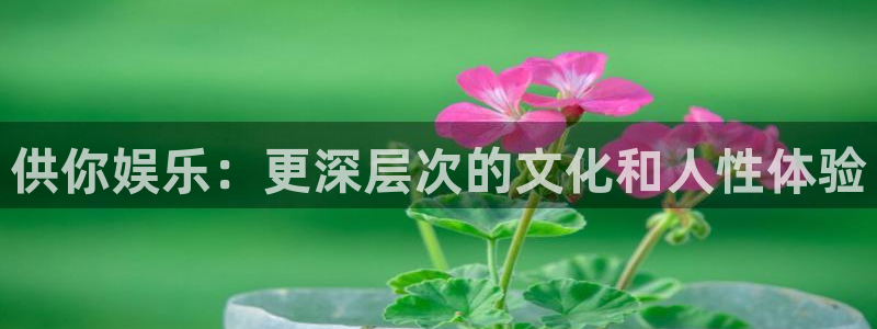 长运平台退款怎么退