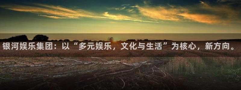 下载长运平台app