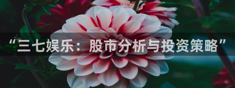 长运平台,apk