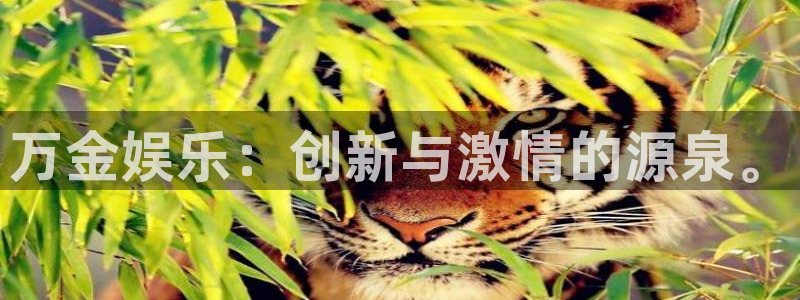 长运平台