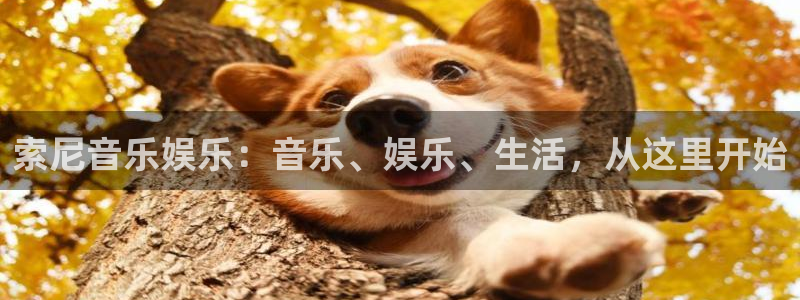 长运平台app下载