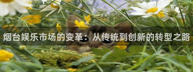 壹号官网app下载安装