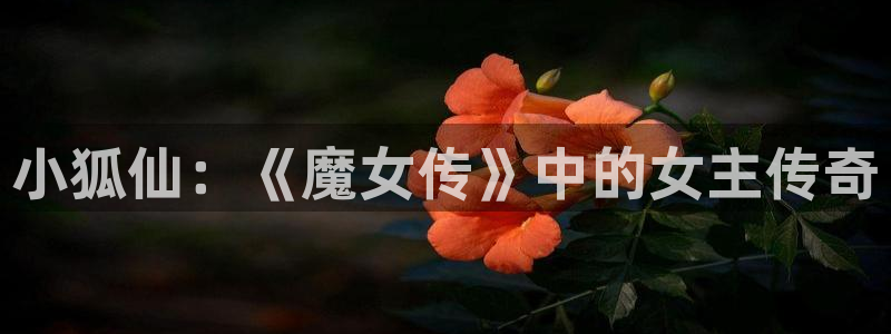 壹号top娱乐