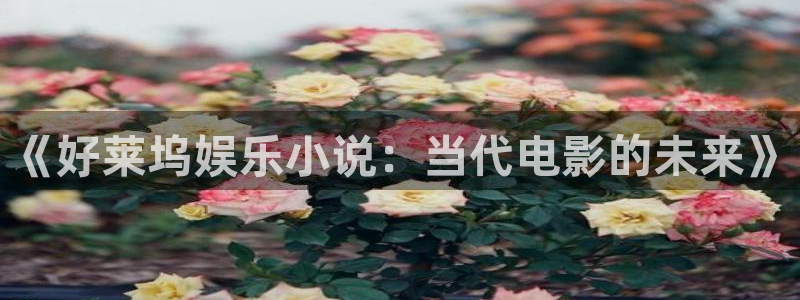 壹号平台注册链接官网下载：《好莱坞娱乐小说：当代电影的未来》