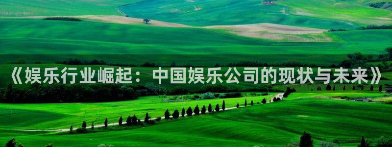 壹号大舞台官网入口：《娱乐行业崛起：中国娱乐公司的现状与未来》