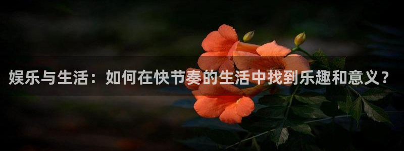 长运平台是啥：娱乐与生活：如何在快节奏的生活中找到乐趣和意义？