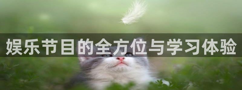 长运平台vip麻将胡了：娱乐节目的全方位与学习体验