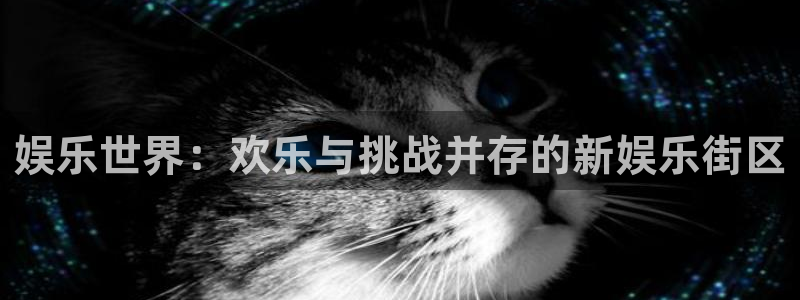 壹号大舞台下载：娱乐世界：欢乐与挑战并存的新娱乐街区