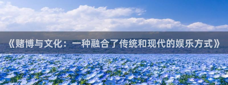壹号电子娱乐app下载最新版本