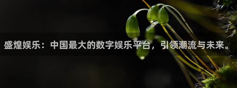 长运平台.ccm官网版