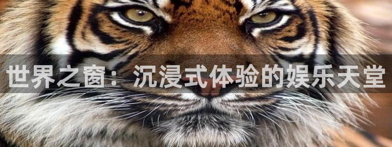 长运平台