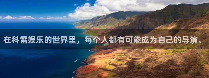 长运平台预测在线预测