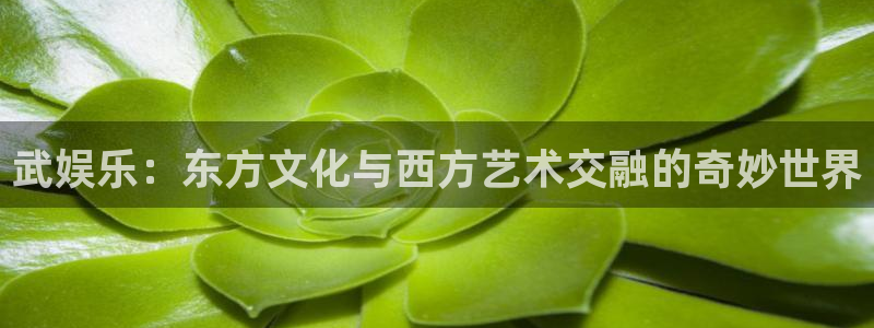 长运平台平台登录入口：武娱乐：东方文化与西方艺术交融的奇妙世界