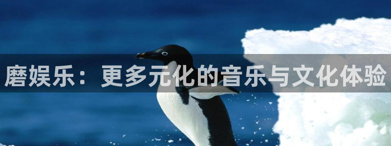 壹号平台下载：磨娱乐：更多元化的音乐与文化体验